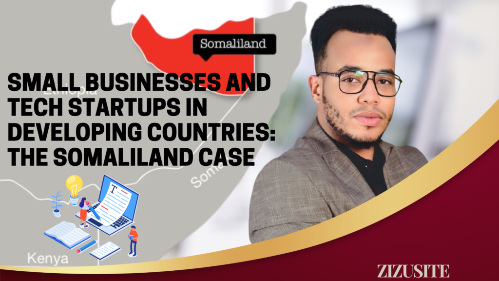 Small-Businesses-and-Tech-Startups-in-Developing-Countries-The-Somaliland-Case