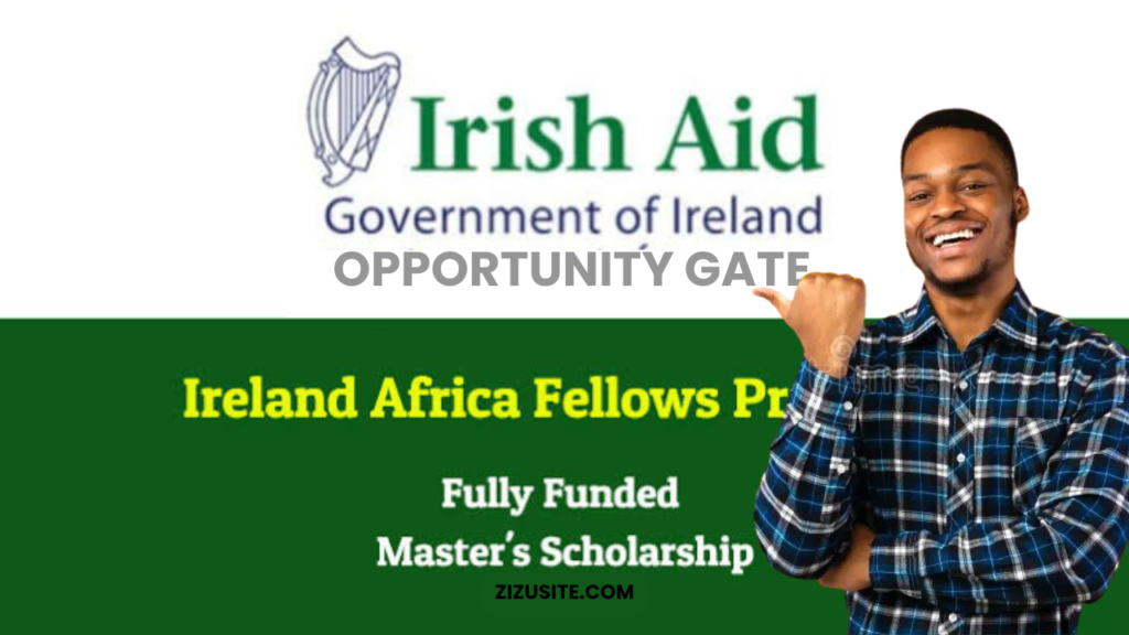 The Ireland Fellows Programme